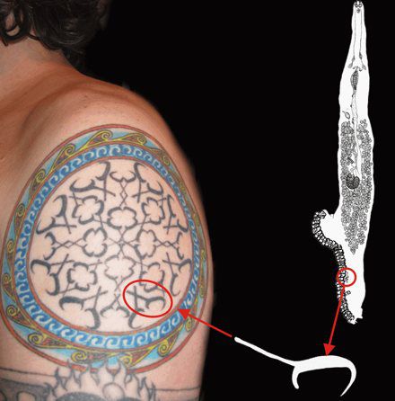 Татуировки Научной тематики