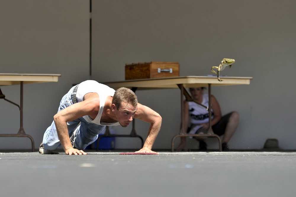 Соревнование прыгающих Лягушек в Калифорнии