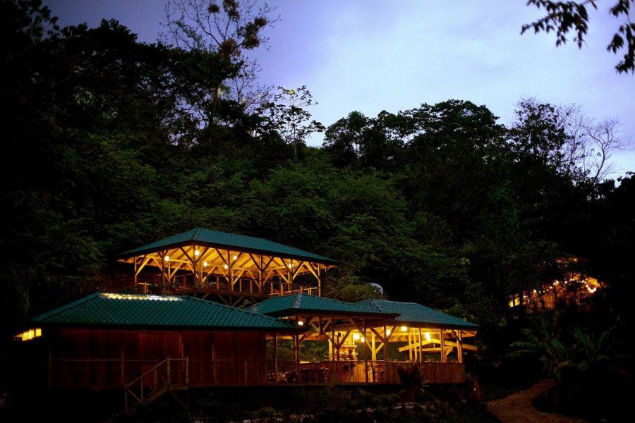 Фантастическая деревня на деревьях в Коста-Рике
