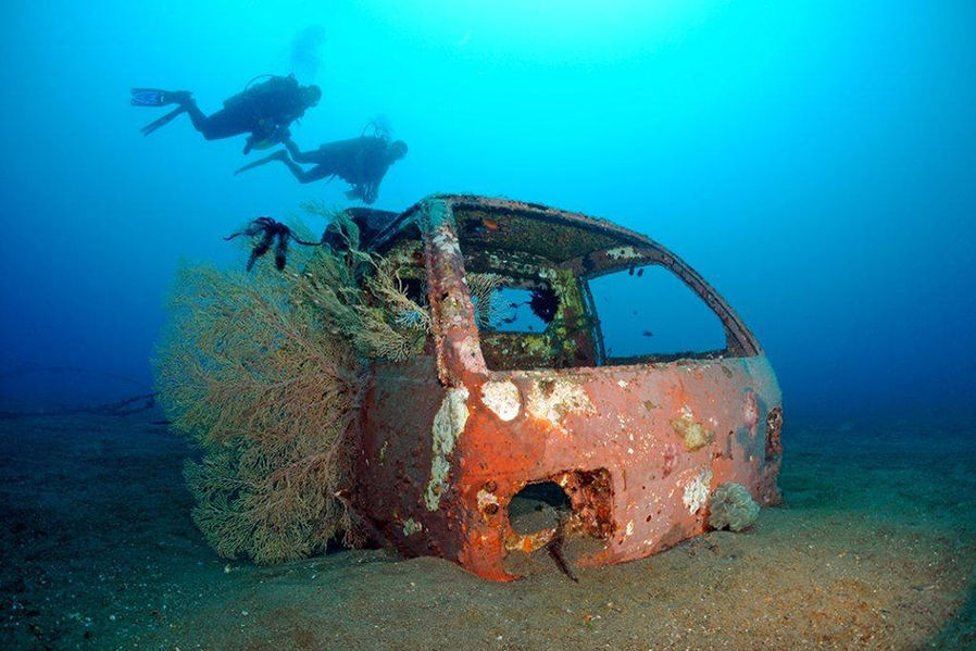 Коралловые рифы из старых Авто