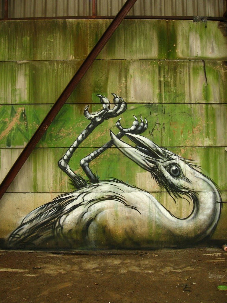 Street Art  Roa