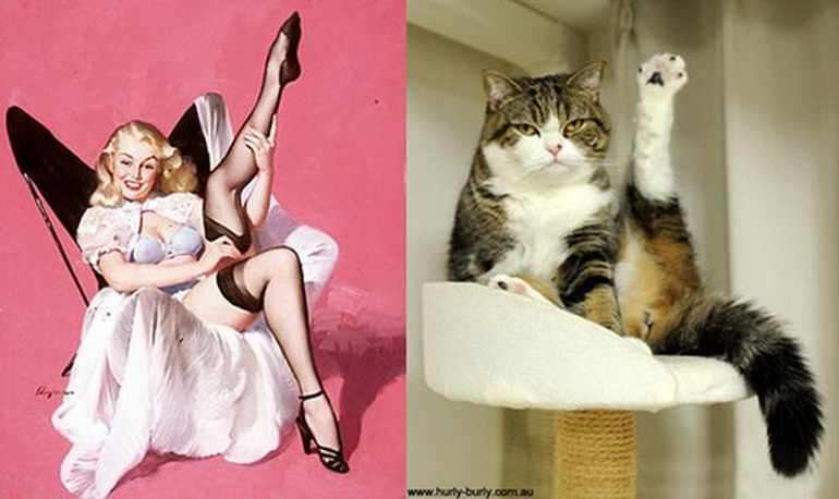 Девушки и коты в стиле Пин-Ап