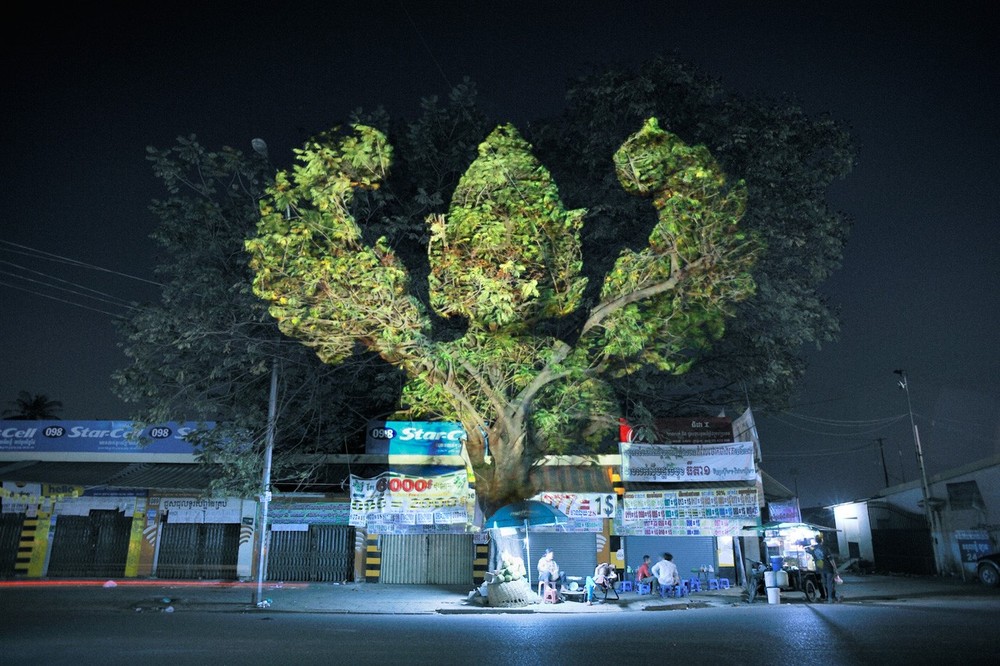 Лица на Камбоджийских деревьях