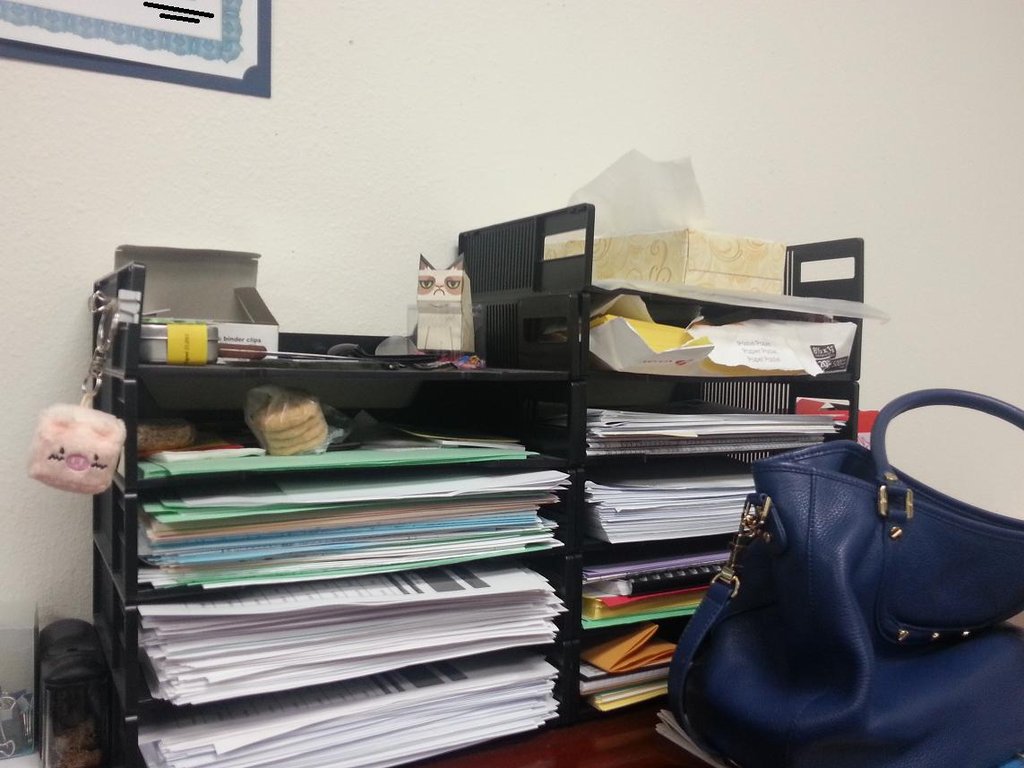 Обустройство офиса с grumpy cats