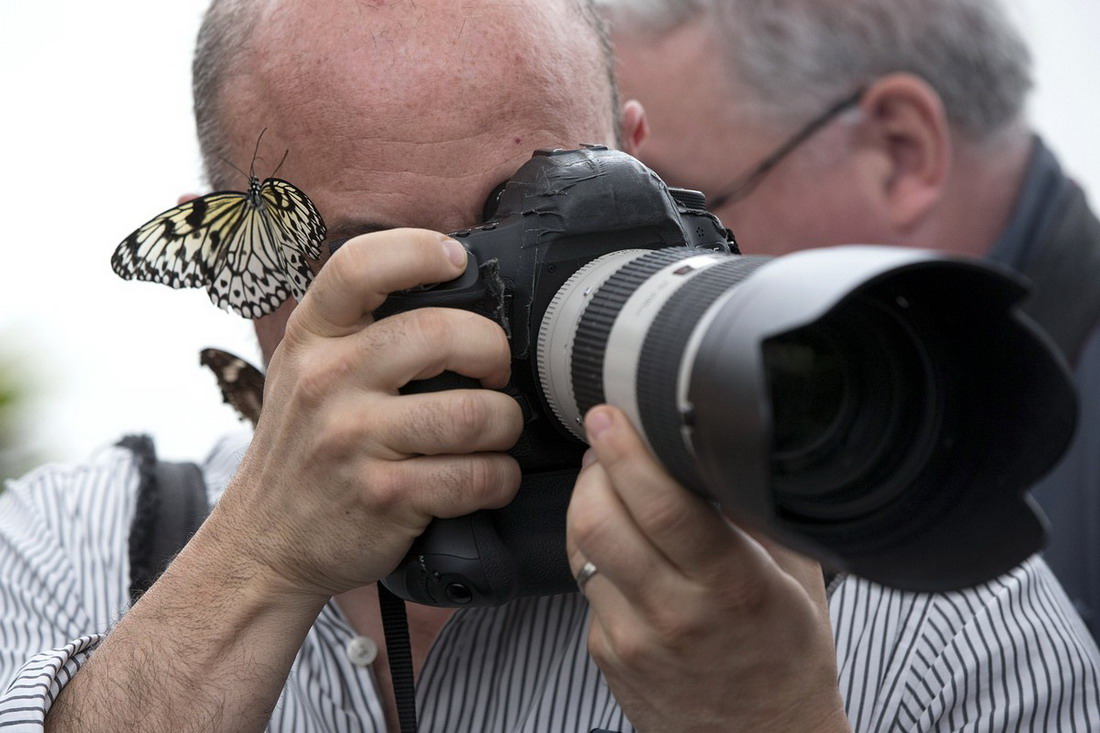 Sensational Butterflies - уникальная выставка бабочек