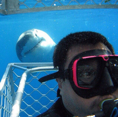 Безумный Selfie мир