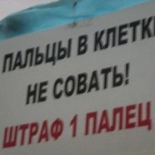 ������� � �����������