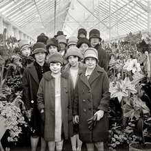 ���� ������� 1900-1930 ���
