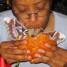 ������ ���� ���