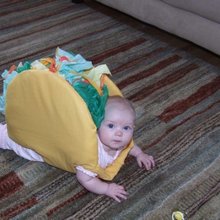 ������ ���� ���