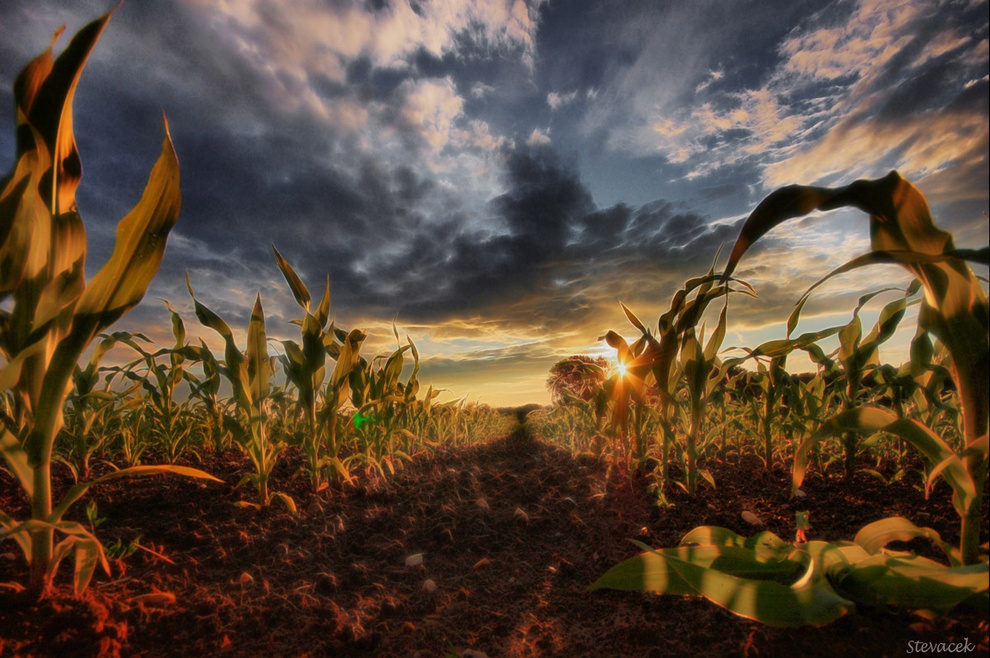 �������� HDR ����������