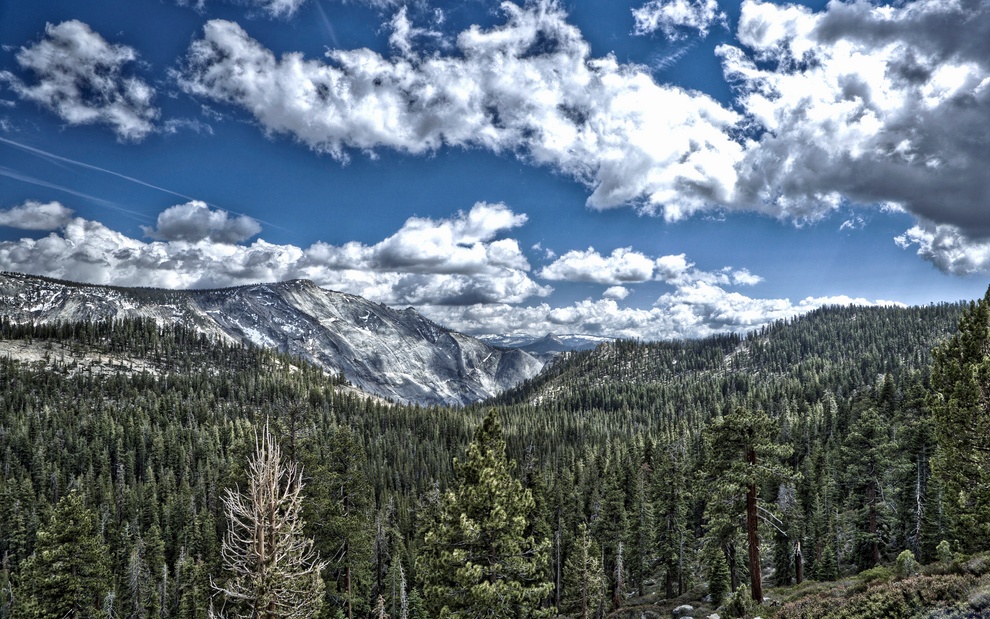 �������� HDR ����������