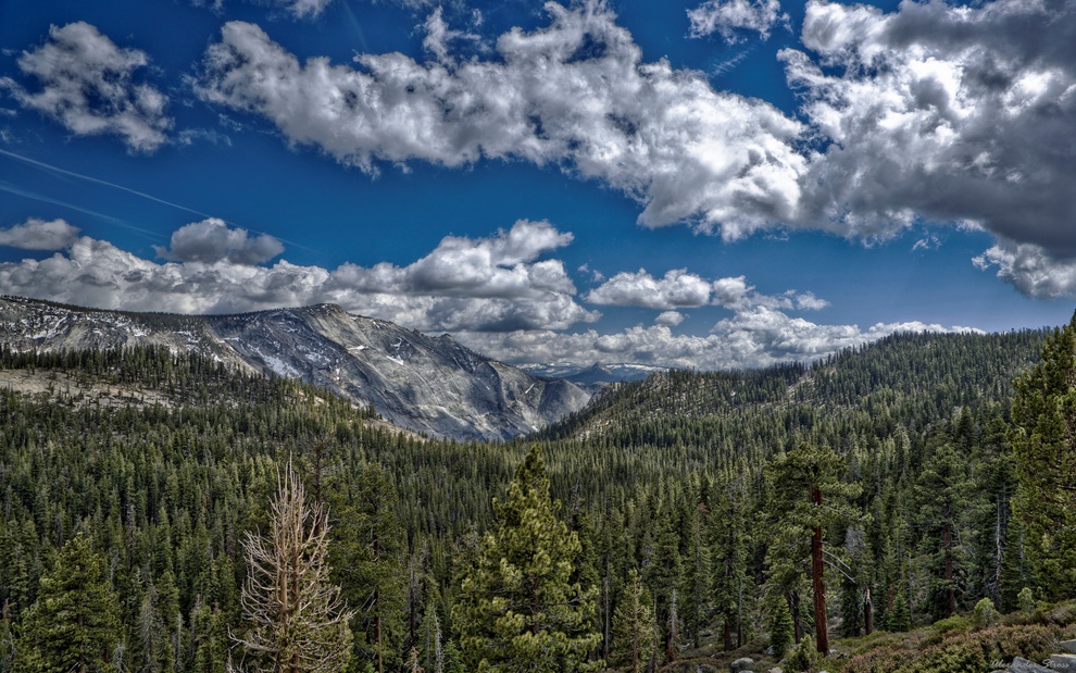 �������� HDR ����������