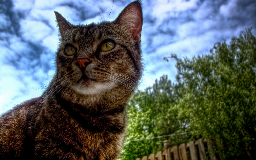 �������� HDR ����������