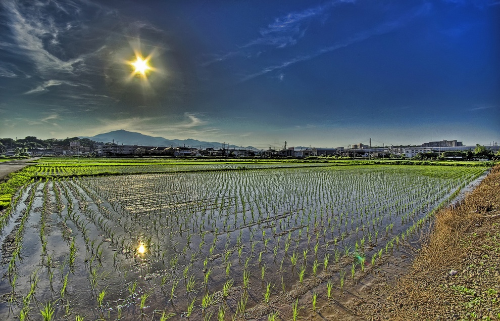 �������� HDR ����������