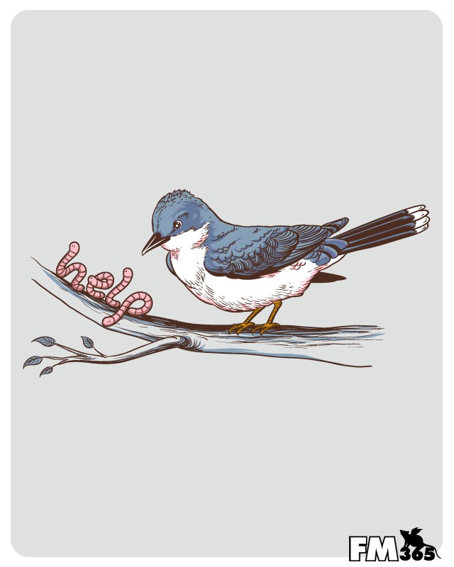 ������ ������������ Flying Mouse 365