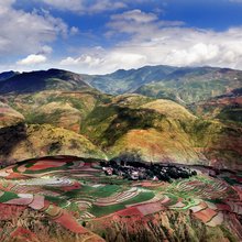 ����� �� ��������� Thierry Bornier