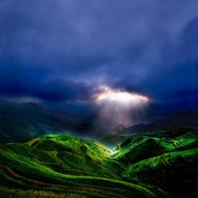 ����� �� ��������� Thierry Bornier
