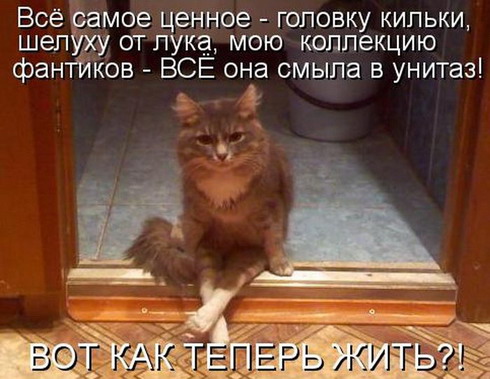 ������ �����������
