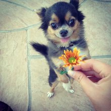 ������ ���� ���