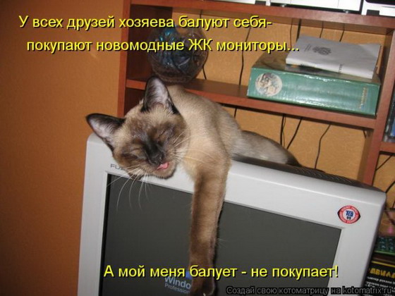 Лучшие котоматрицы Лучшие котоматрицы