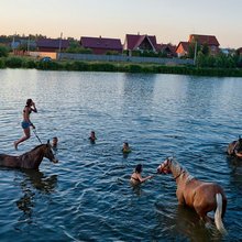 ������ ���������� National Geographic � ��������