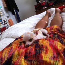 ������ ���� ���