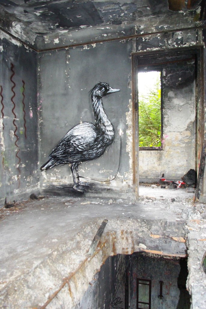 Street Art �� Roa
