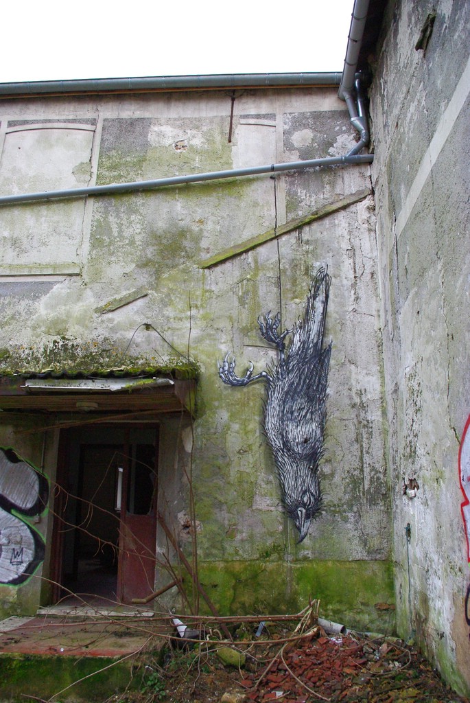 Street Art �� Roa