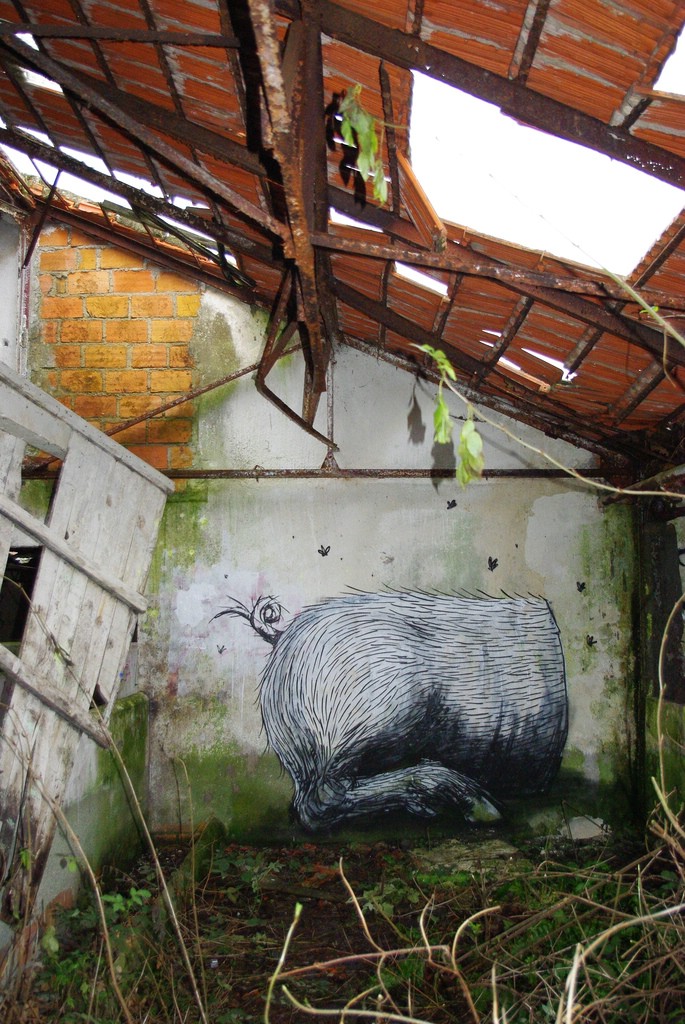 Street Art �� Roa