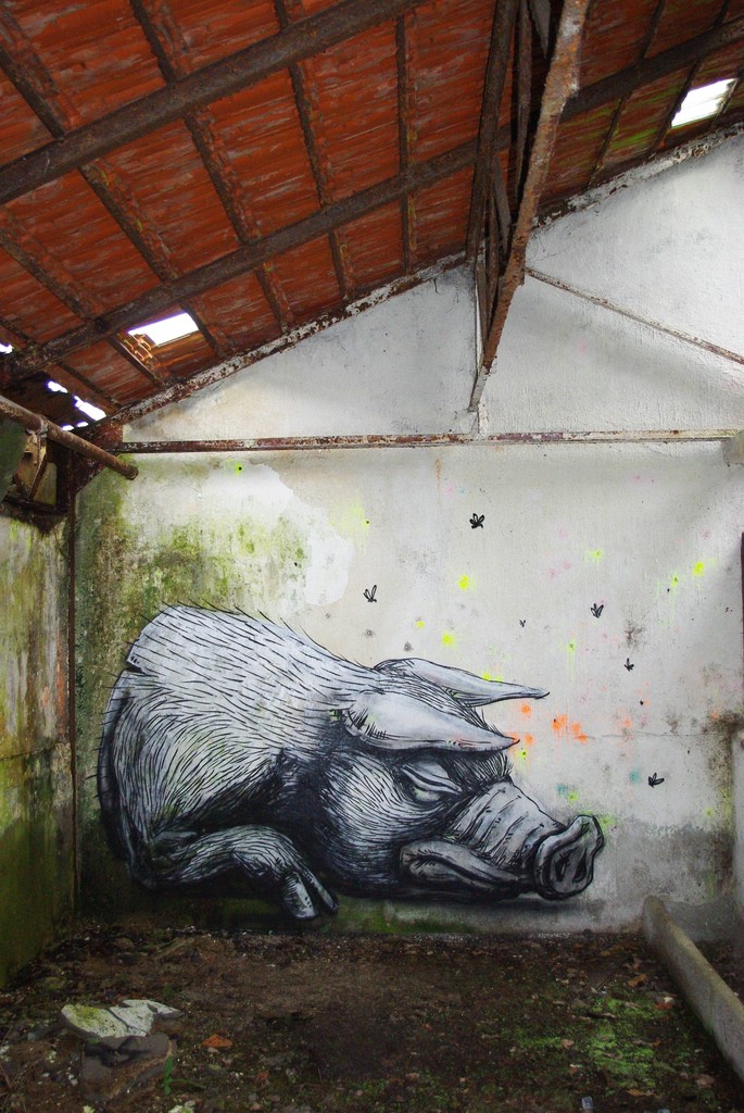 Street Art �� Roa