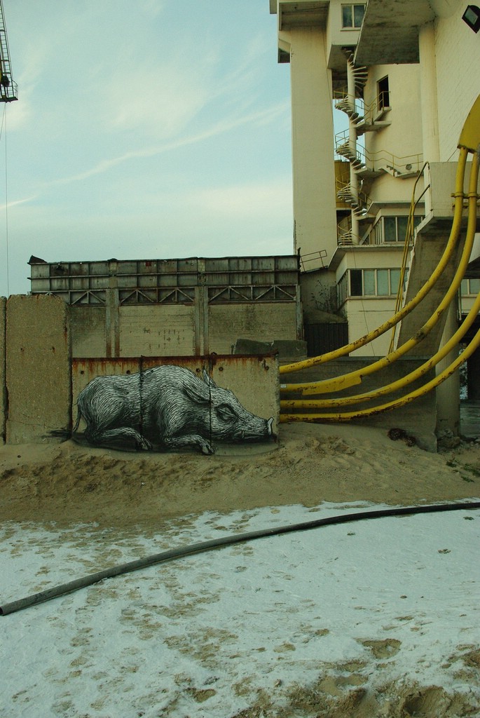 Street Art �� Roa