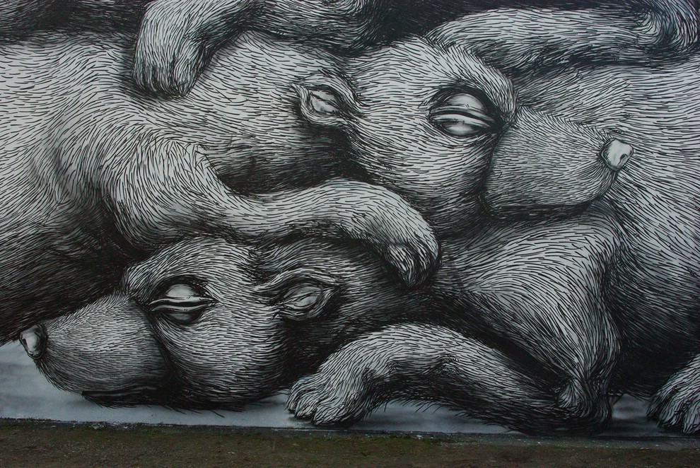Street Art �� Roa