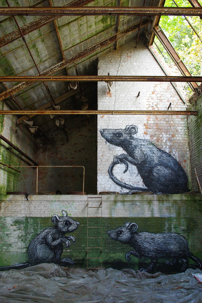 Street Art �� Roa