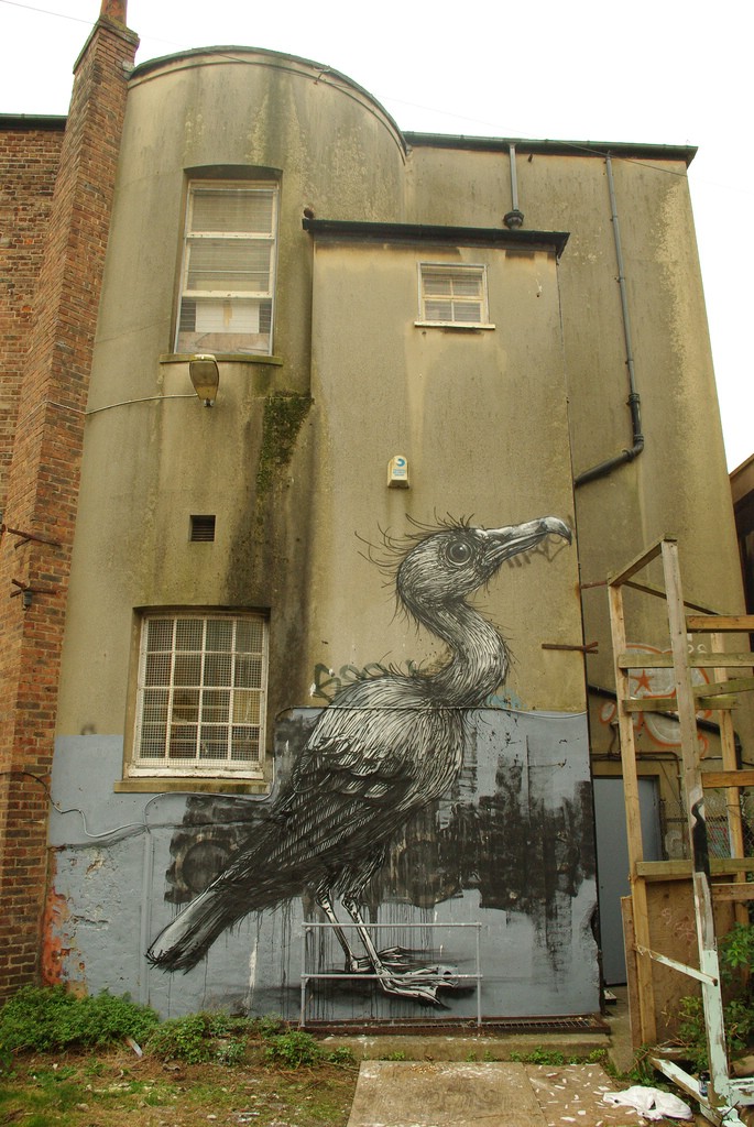 Street Art �� Roa