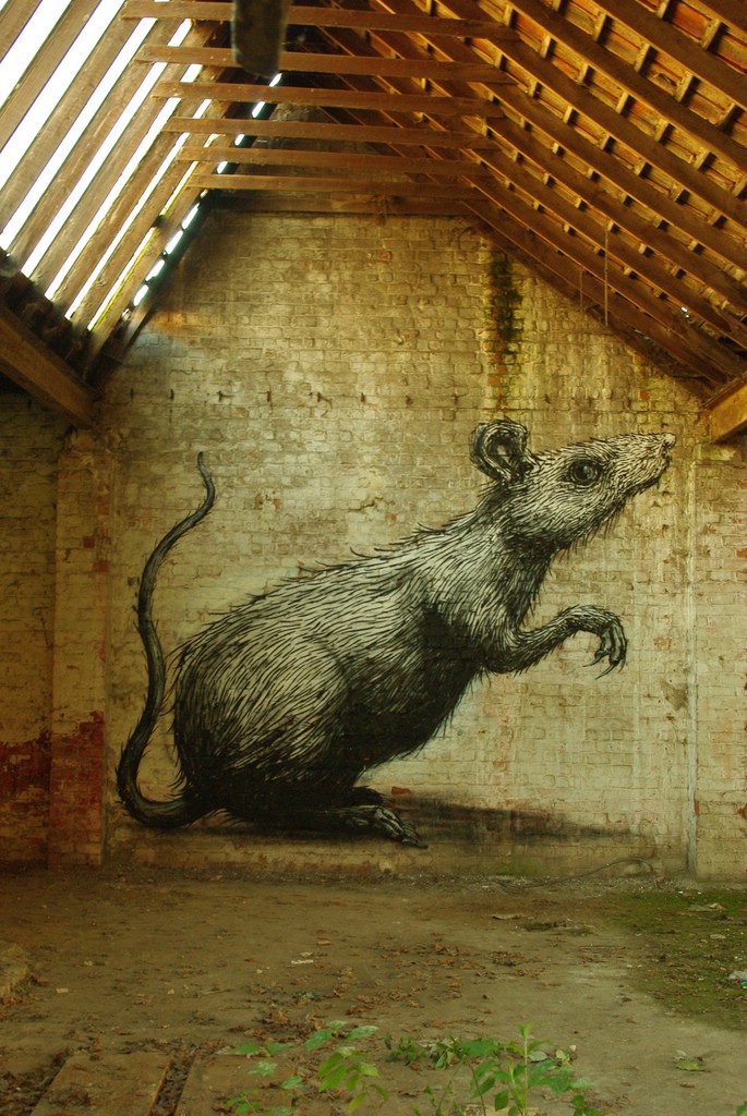 Street Art �� Roa