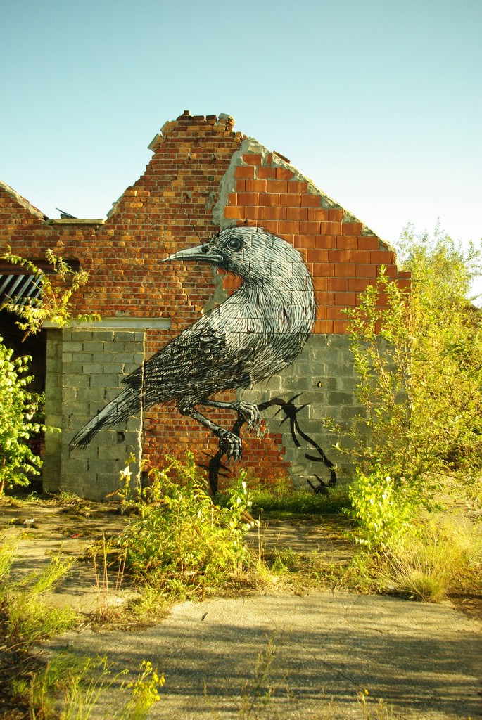 Street Art �� Roa