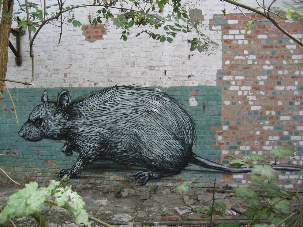 Street Art �� Roa