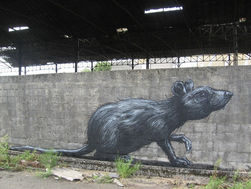 Street Art �� Roa