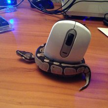 ������ ���� ���
