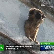 ������� � ��������� �����������