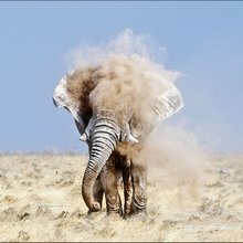 National Geographic 2012