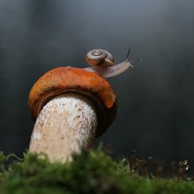 ���������������