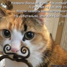 ������ ����������� �� ������
