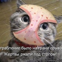 ������ ����������� �� ������