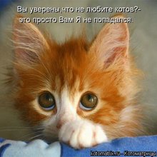 ������ ����������� �� ������
