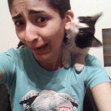 ������ ���� ���