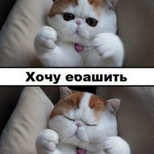 ������������� �������