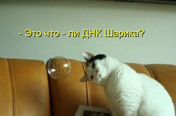 ������ ����������� �� ������