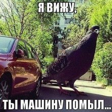 ������������� �������